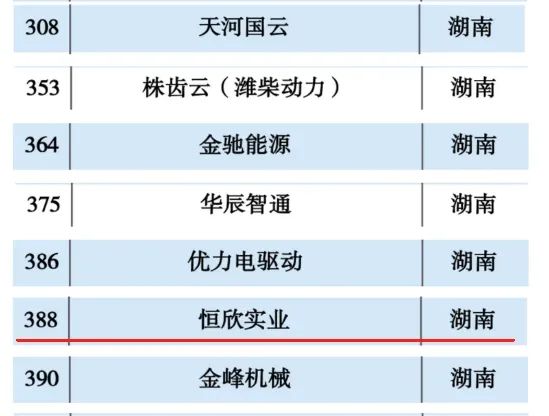 恒欣股份上榜“2024工業(yè)互聯網500強”